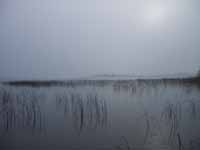 Туманное утро на озере под Невелем